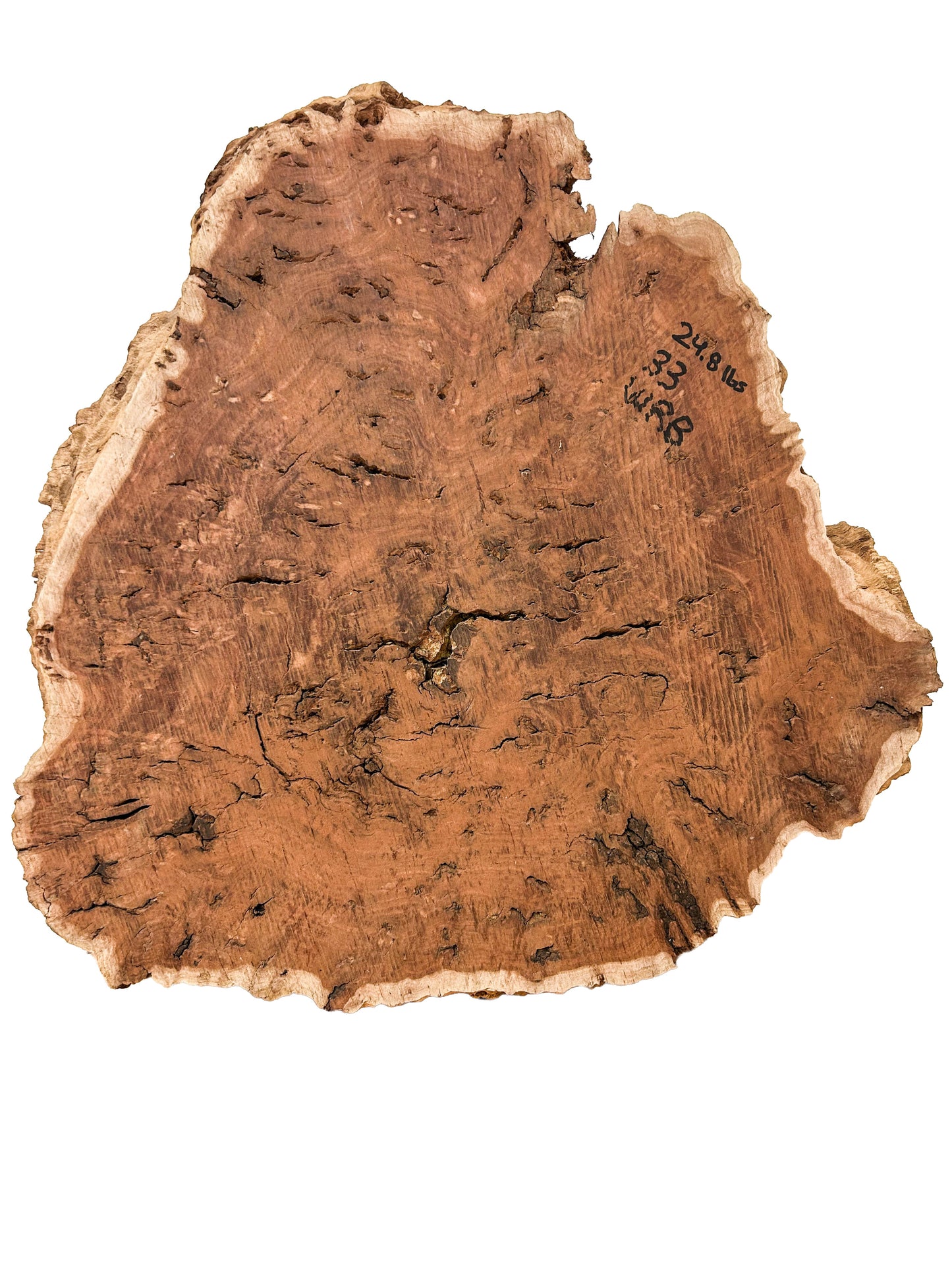 Australian Western Red Burl Slice - 20" x 19" x 1.75" WE1483