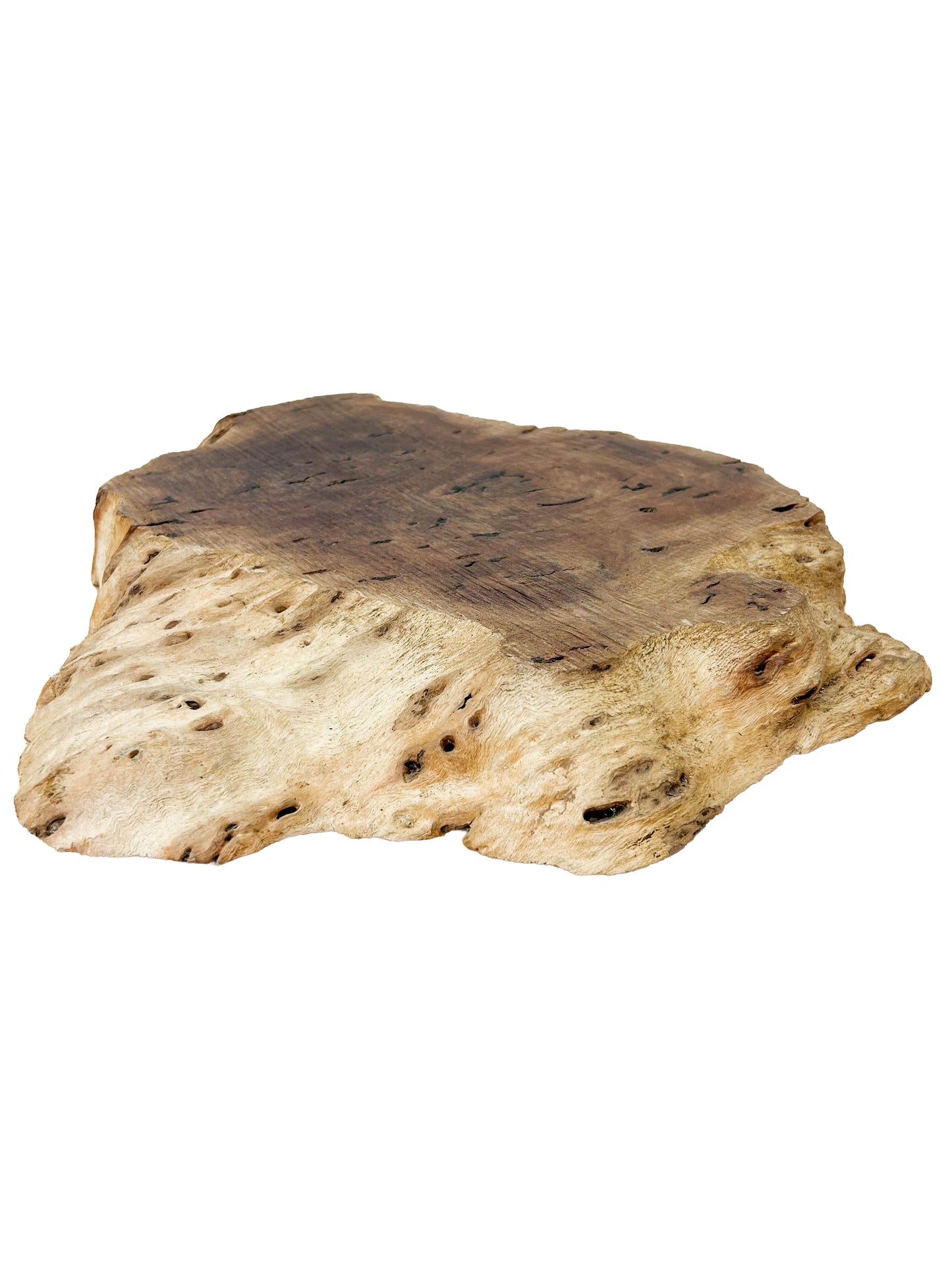Australian Western Red Burl Slice - 20" x 17" x 2.25" WE1484