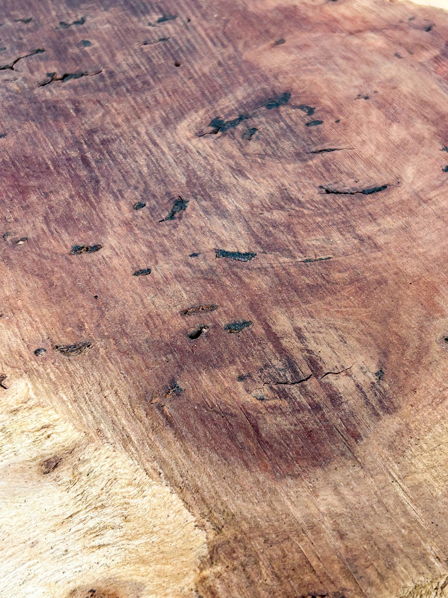 Australian Western Red Burl Slice - 20" x 17" x 2.25" WE1484