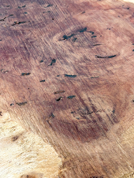 Australian Western Red Burl Slice - 20" x 17" x 2.25" WE1484