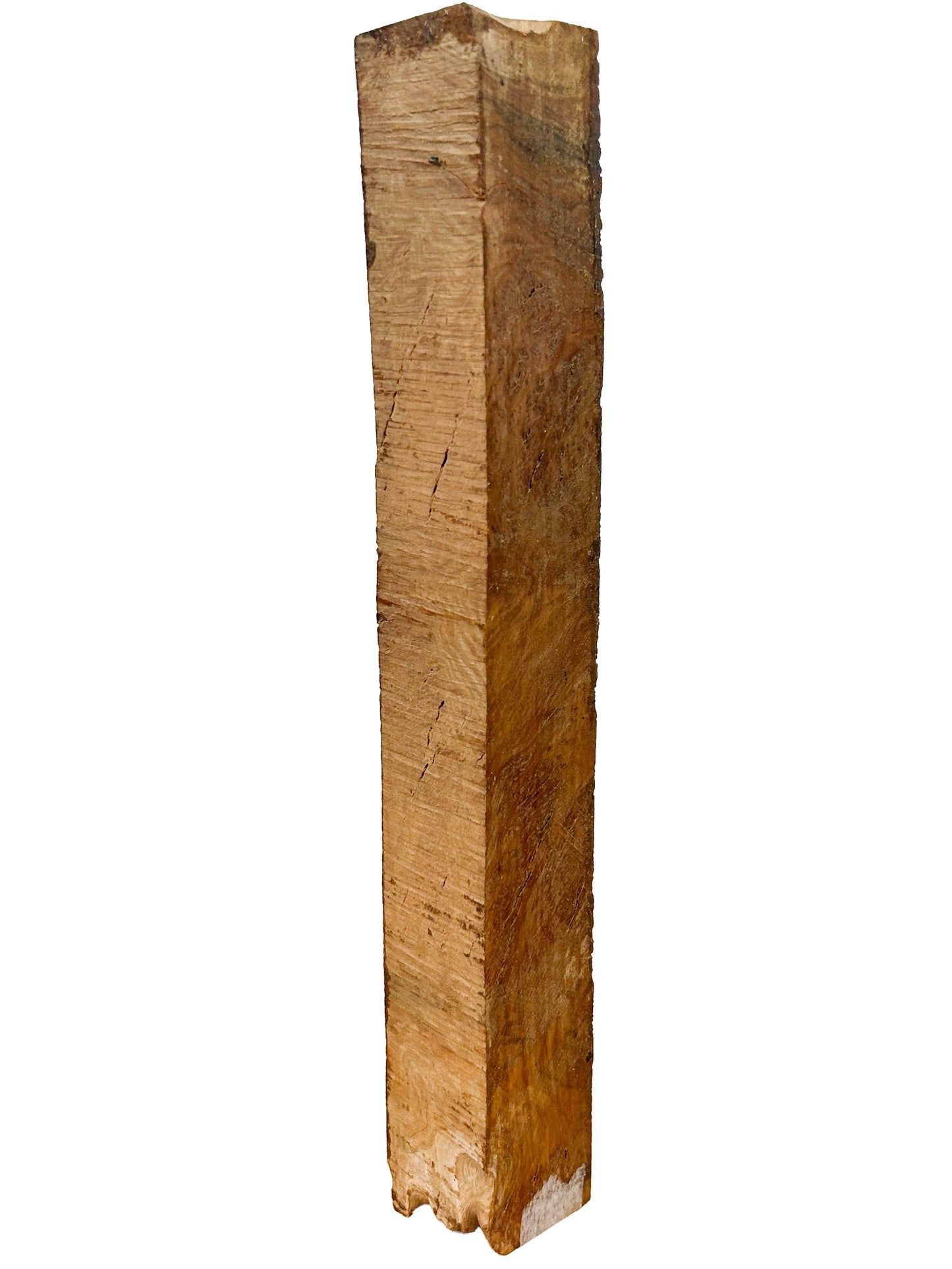 Australian Coolibah Burl Pool Cue/Spindle/Turning Blank - 12"x1.5"x1-5/8" WE1490