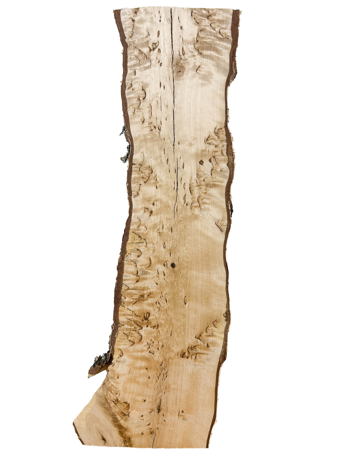 Birch, Masur/Karelian Live Edge- 21.5" x 5.5" x 1-7/8" WE1515