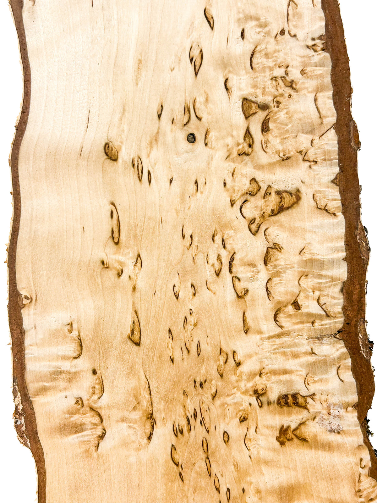 Birch, Masur/Karelian Live Edge - 38" x 4" x 1-1/8" WE1524