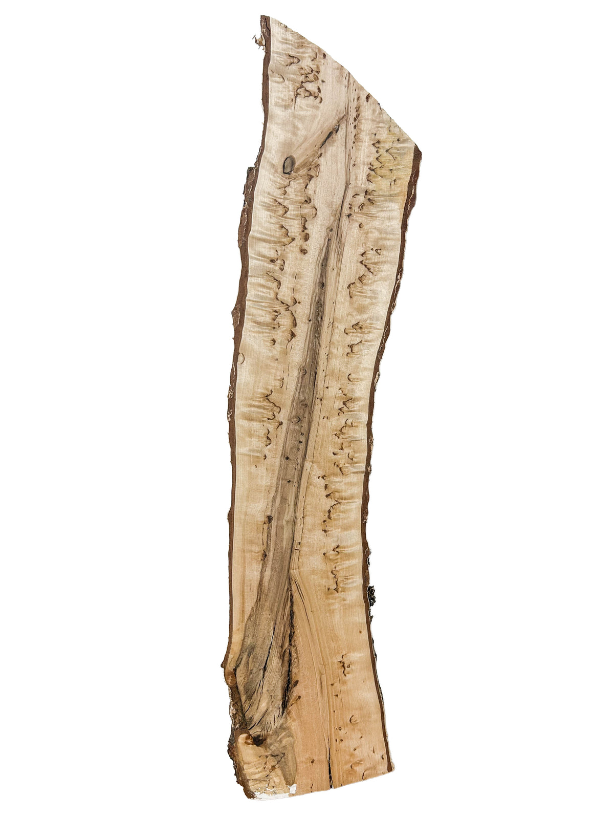 Birch, Masur/Karelian Live Edge- 25" x 5.25" x 1-7/8" WE1516