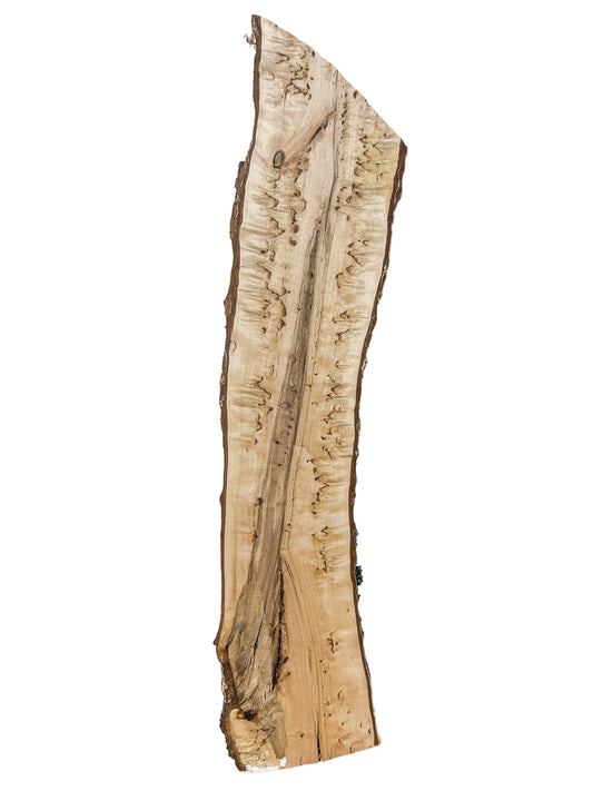 Birch, Masur/Karelian Live Edge- 25" x 5.25" x 1-7/8" WE1516