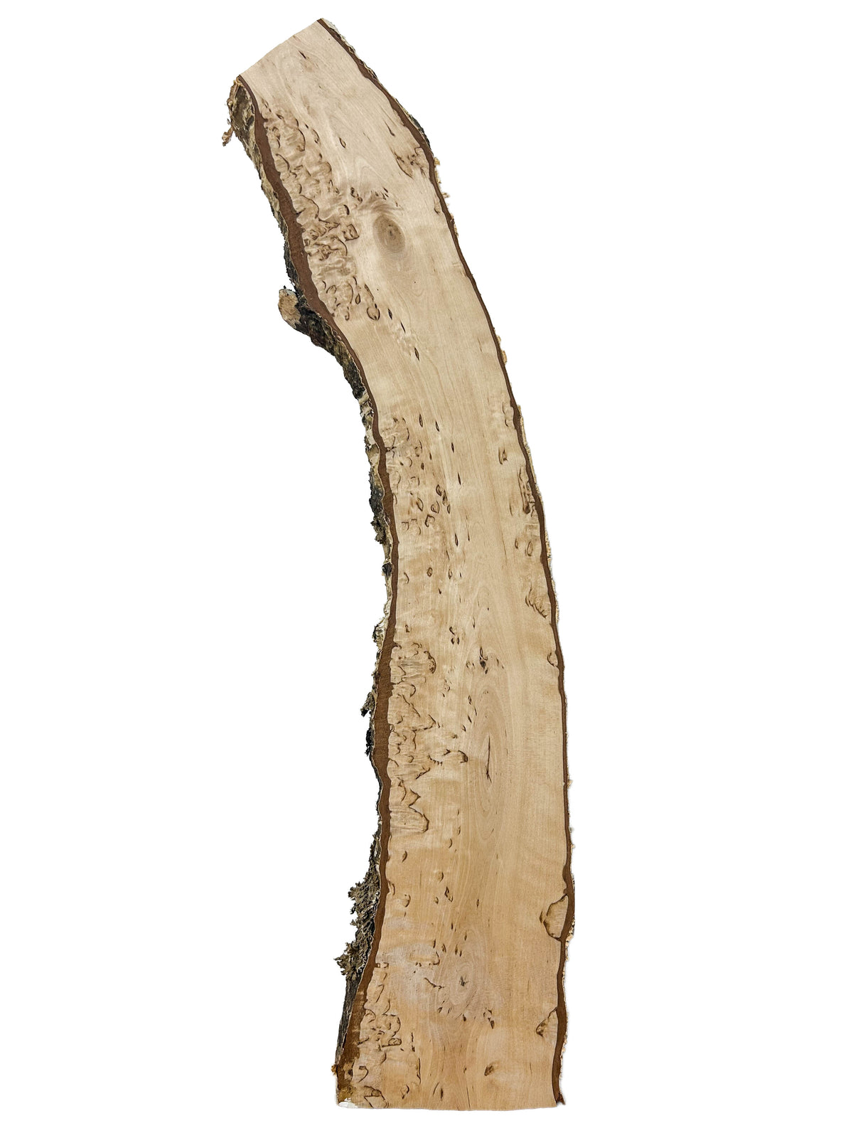 Birch, Masur/Karelian Live Edge- 25" x 4.75" x 1-7/8" WE1517