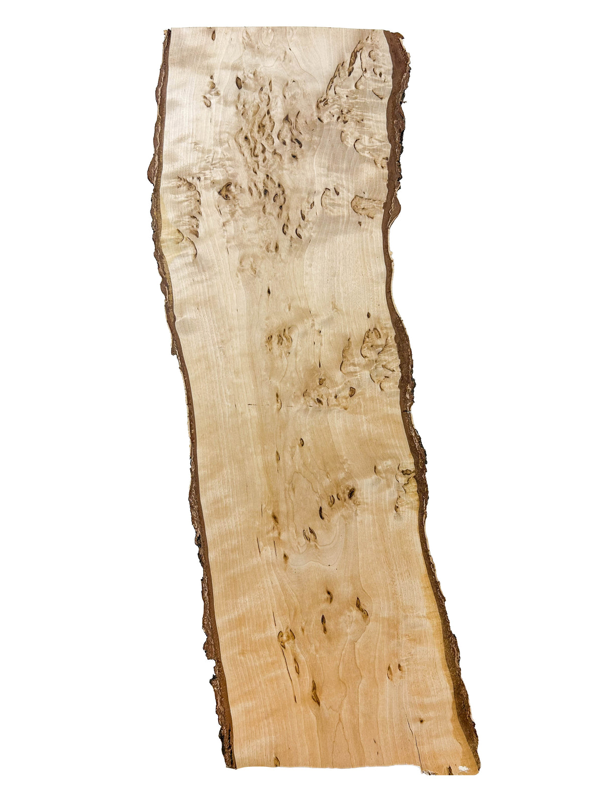 Birch, Masur/Karelian Live Edge- 26" x 8" x 1-7/8" WE1518
