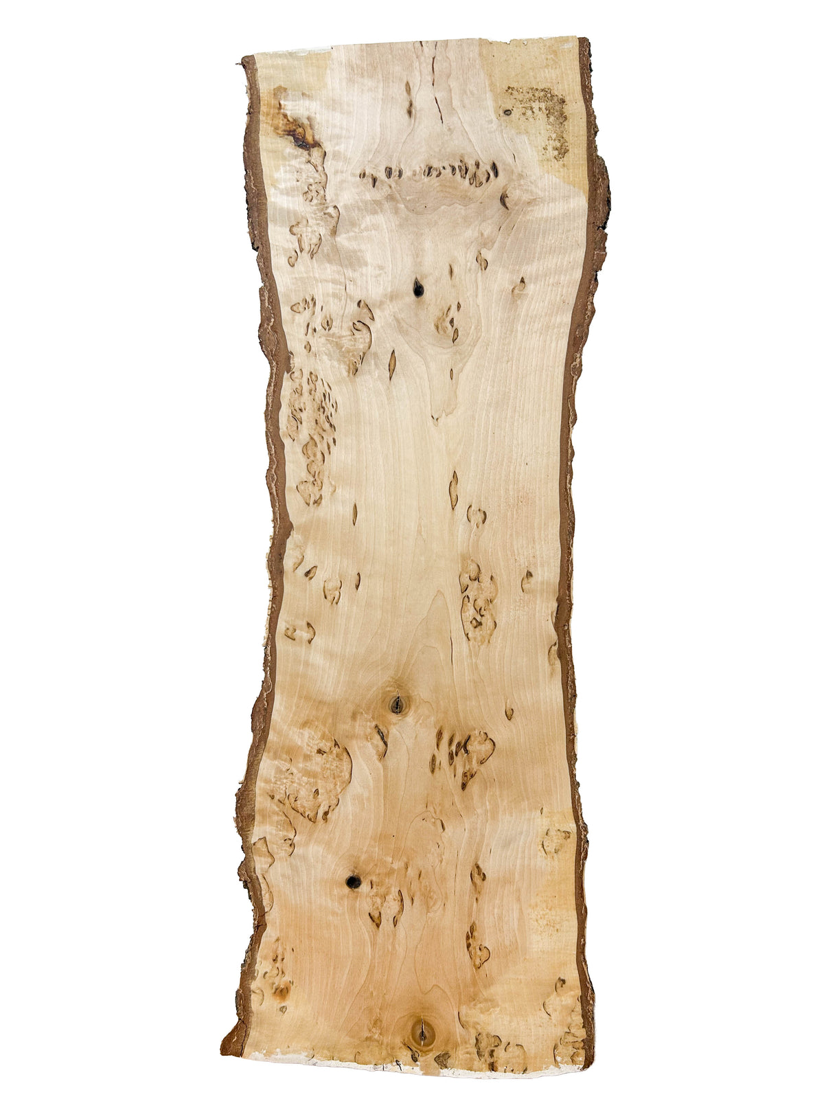 Birch, Masur/Karelian Live Edge- 27.5" x 8.5" x 1-7/8" WE1519