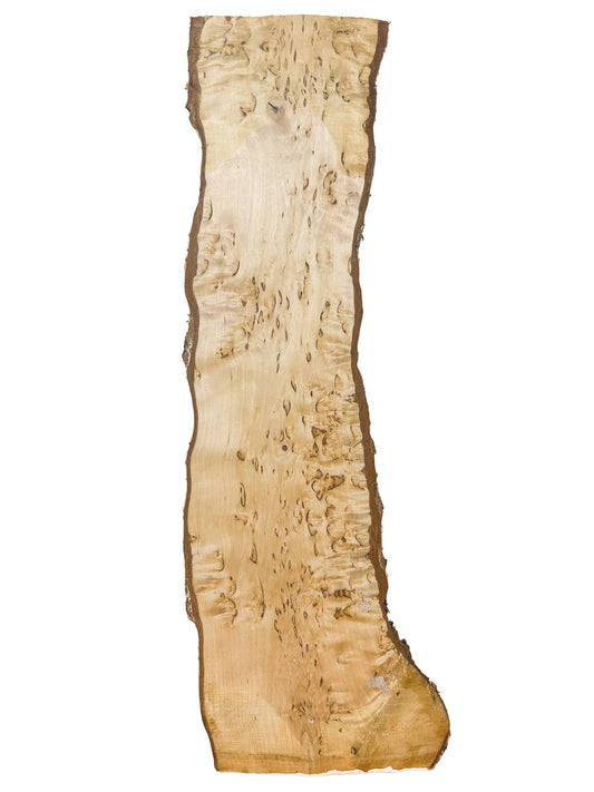 Birch, Masur/Karelian Live Edge HIGH FIGURE- 21.25" x 5.25" x 1-1/8" WE1520