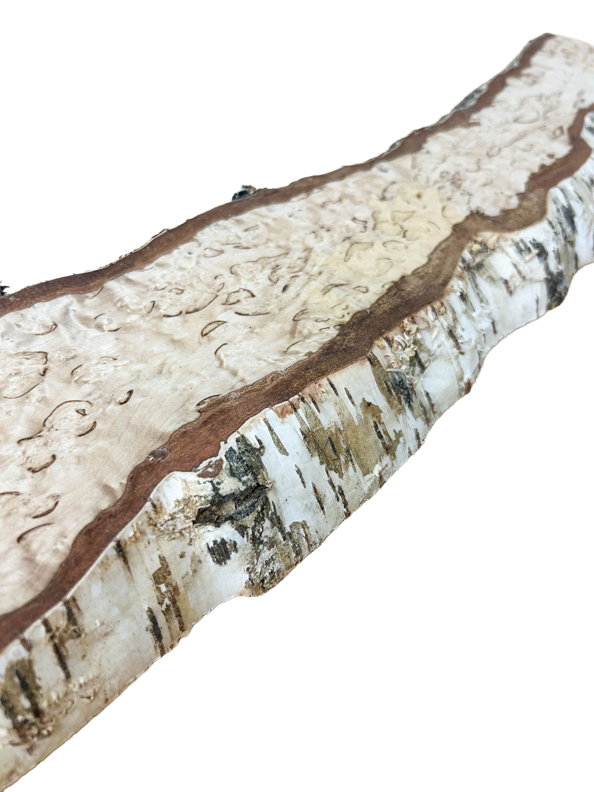 Birch, Masur/Karelian Live Edge HIGH FIGURE- 21.25" x 5.25" x 1-1/8" WE1520