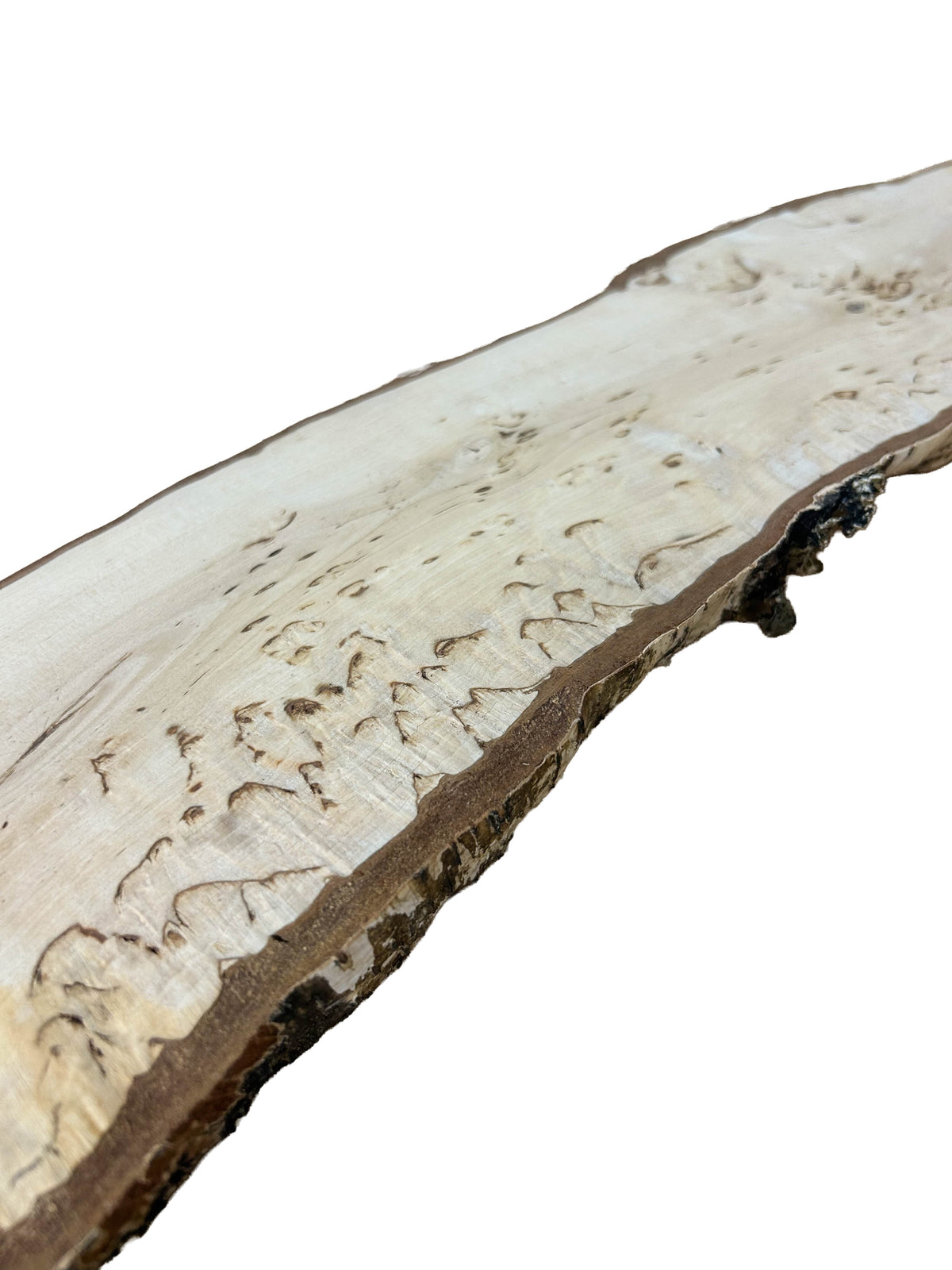 Birch, Masur/Karelian Live Edge HIGH FIGURE - 22.25" x 4.25" x 1-1/8" WE1521