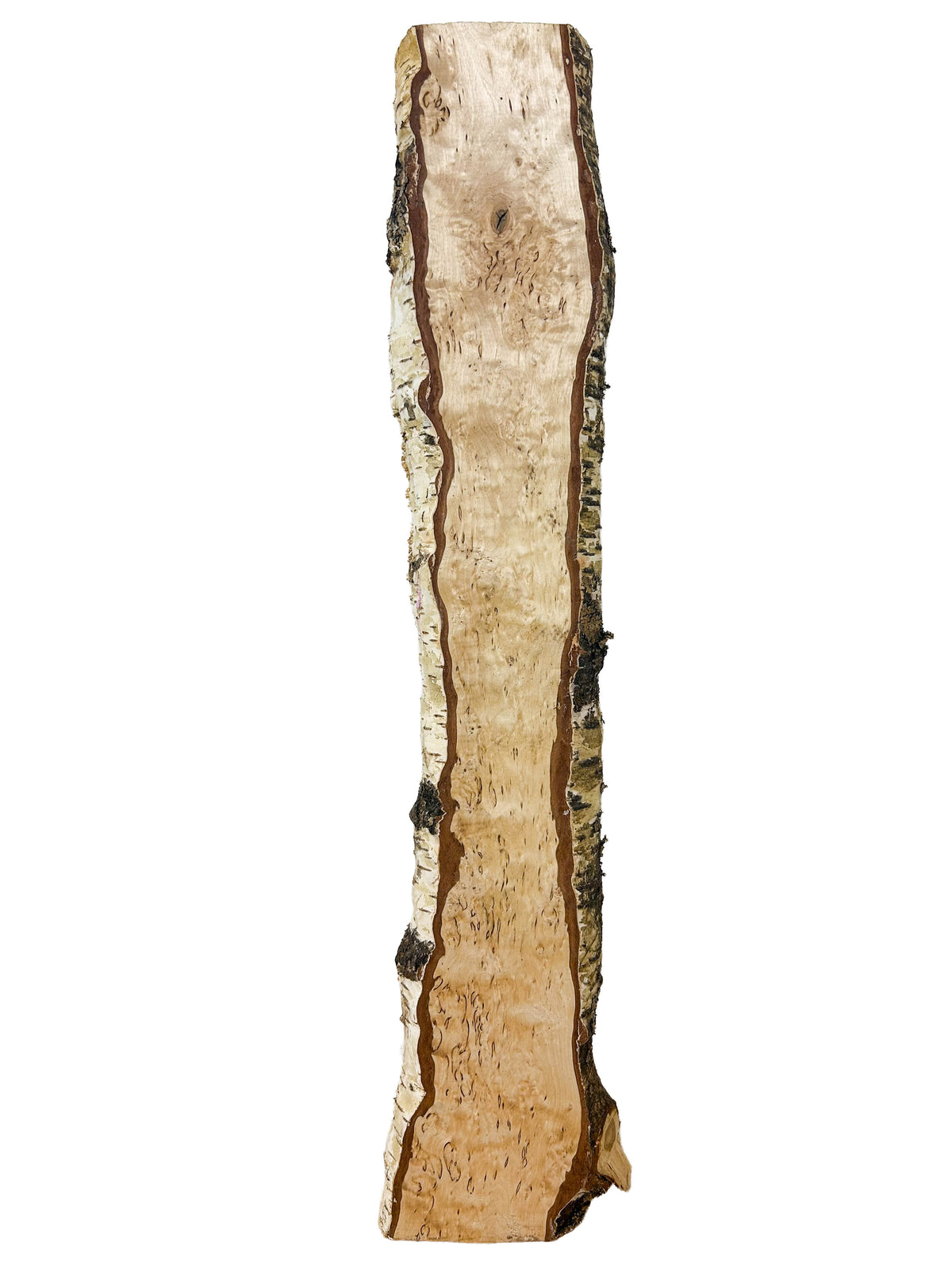 Birch, Masur/Karelian Live Edge HIGH FIGURE - 26.25" x 4.275" x 1-1/8" WE1522