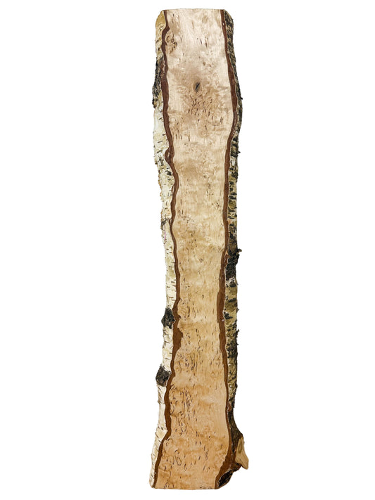 Birch, Masur/Karelian Live Edge HIGH FIGURE - 26.25" x 4.275" x 1-1/8" WE1522