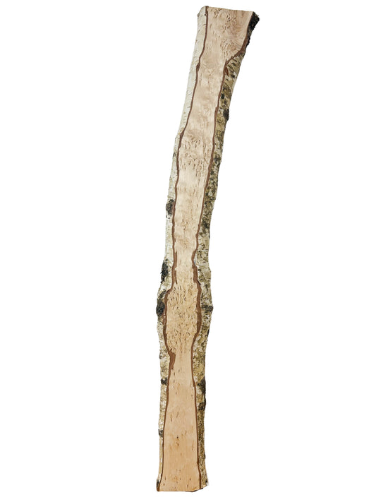 Birch, Masur/Karelian Live Edge - 38" x 4" x 1-1/8" WE1524