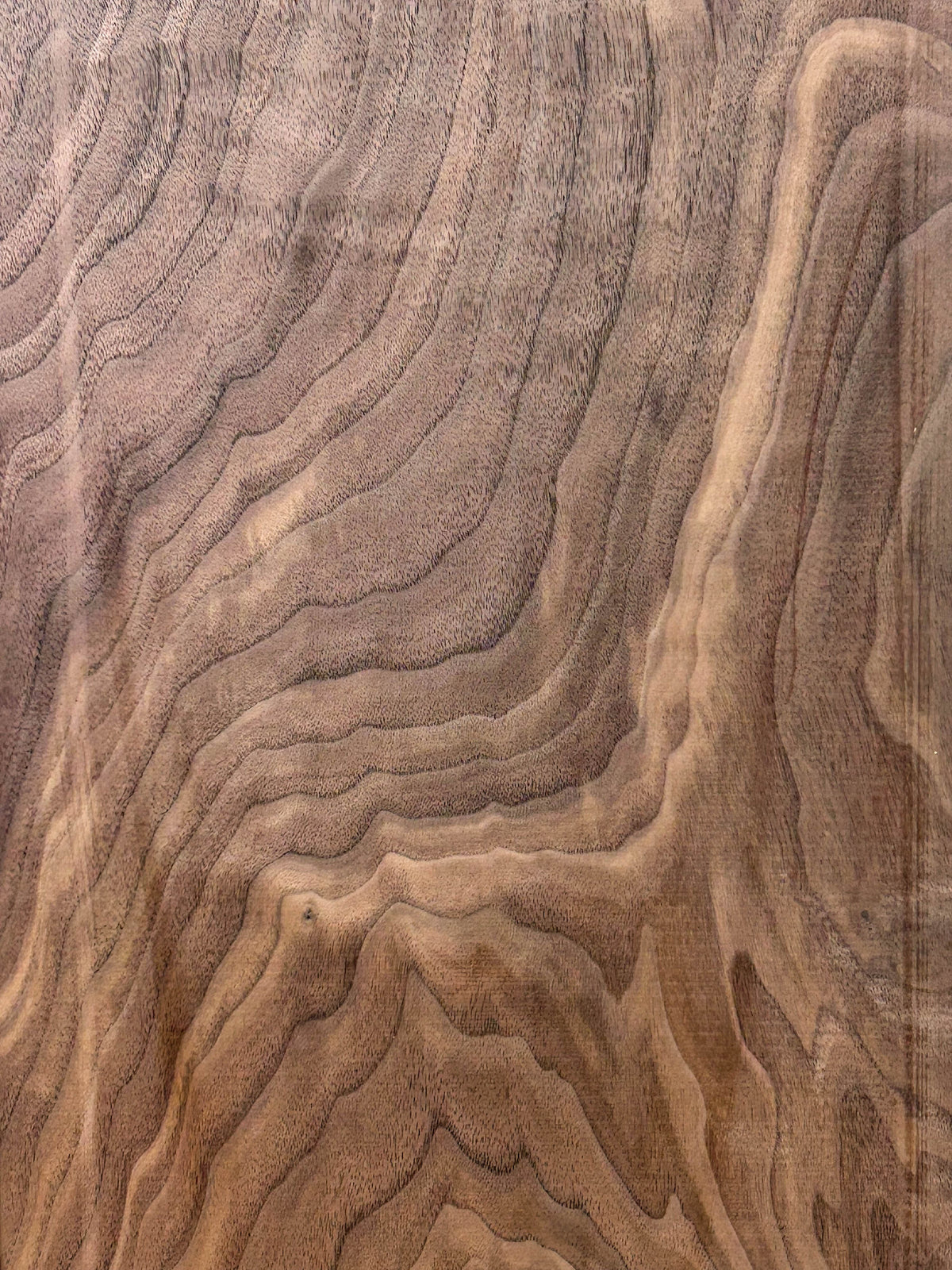 Walnut, American CURLY lumber - 35.5"x 11.25"x 3/4" WE1556