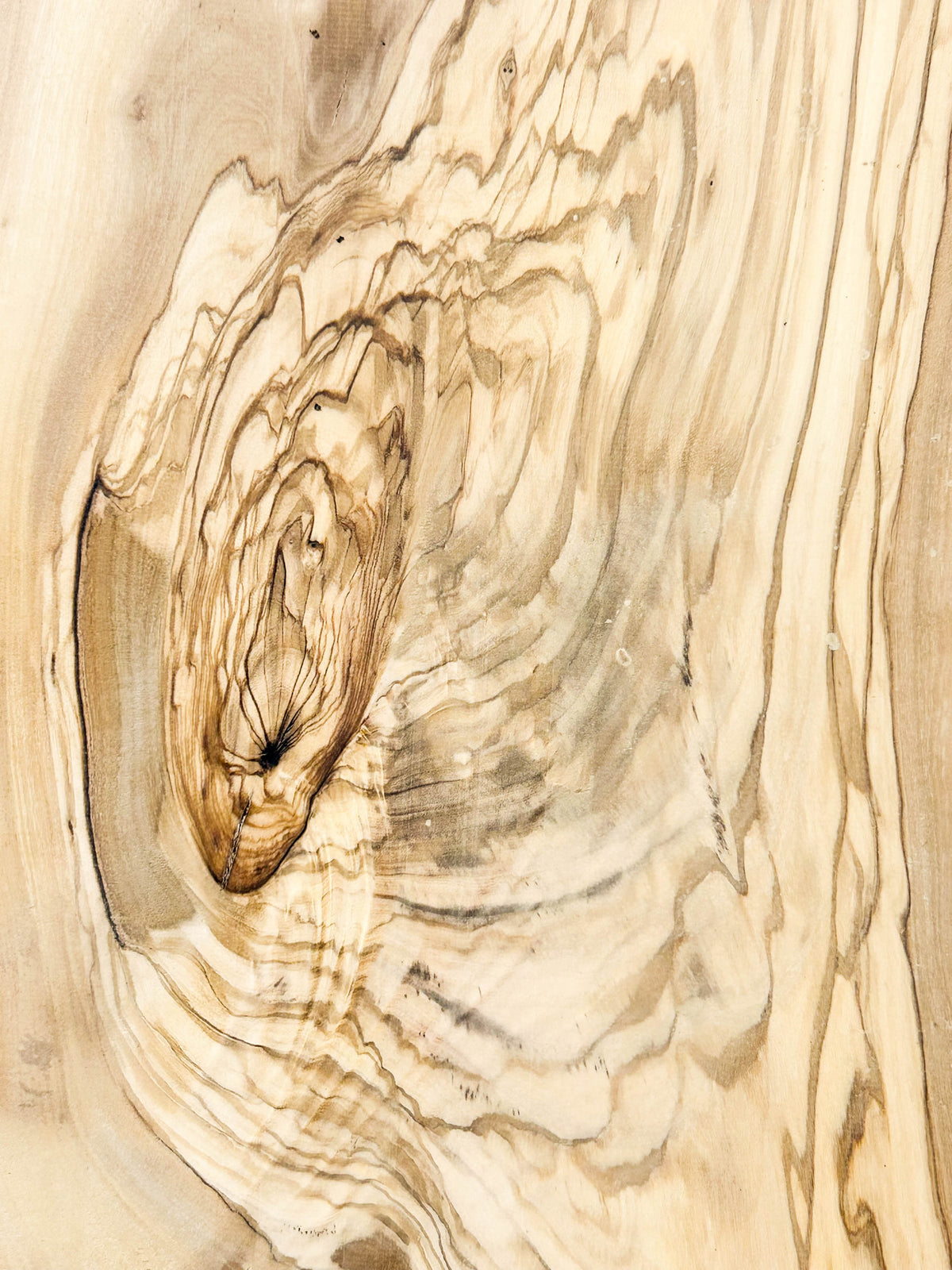 OLIVEWOOD: Italian Live Edge Figured, Slab 36"x 7-10.5"x 3/4" - WE1591