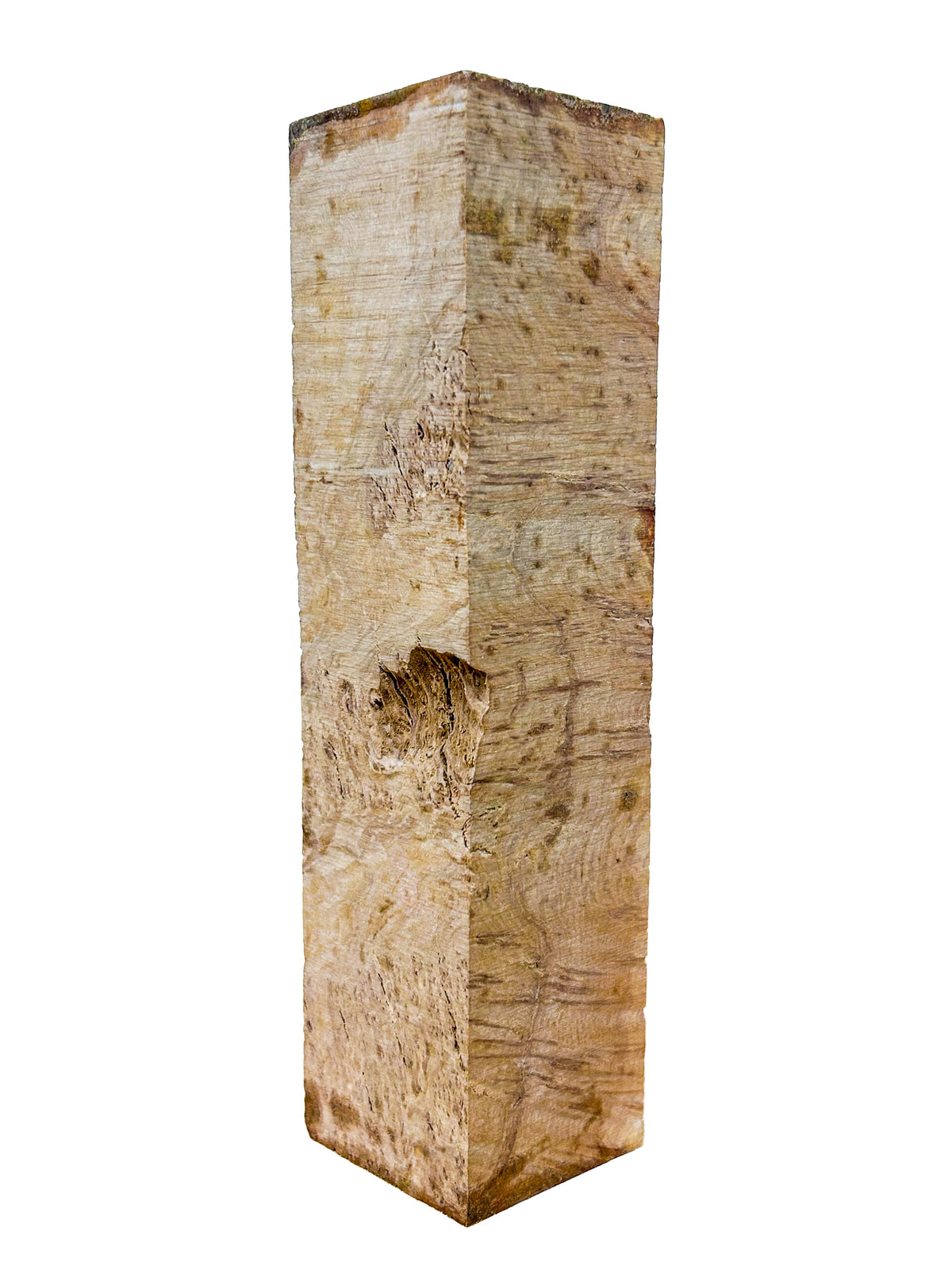Australian Bimble Box Burl Turning Blank - 8"x 2"x 2" WE1601