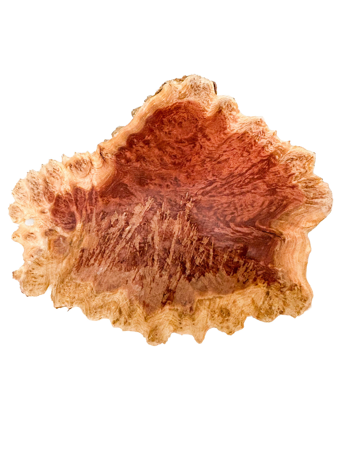 Australian Red Mallee Burl Cap - 12" x 10" x 4" WE1611