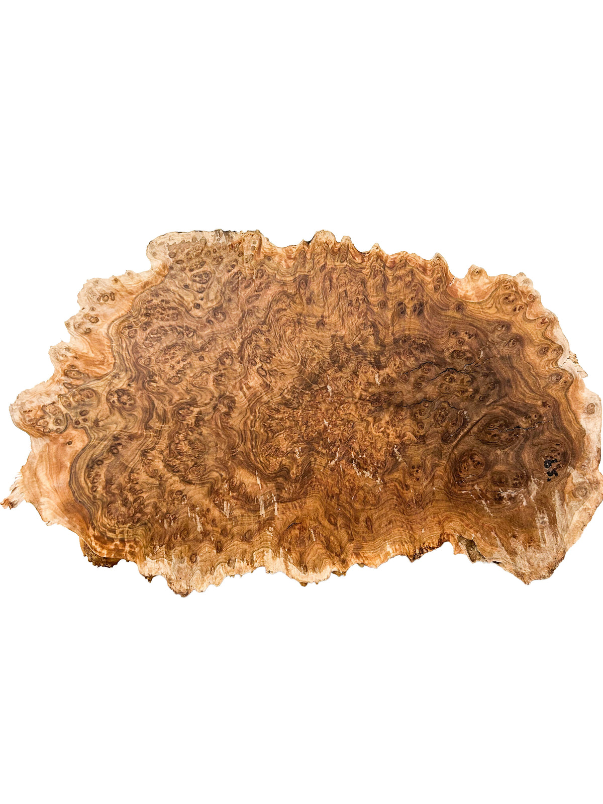 Australian Yellow Box Burl Cap - 14" x 8" x 3.5" WE1613