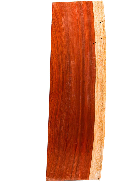 Padauk, African 5/4 Live Edge Shelves - 34.5"x 10" x 1.25" [WE350]