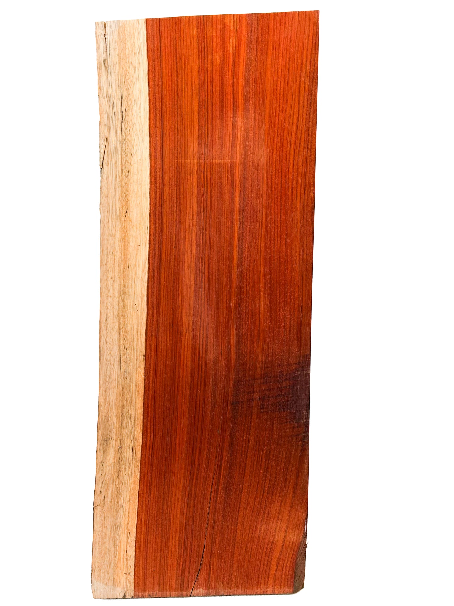 Padauk, African Live Edge Shelves - 33.5"x 12" x 1.25" [WE351]