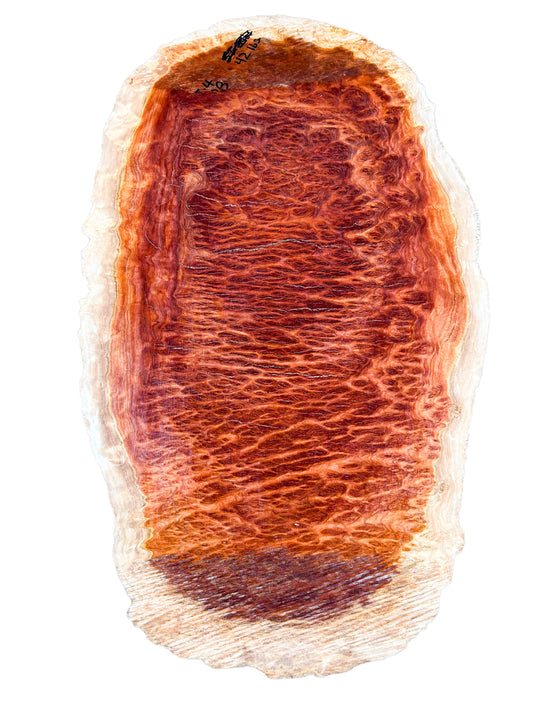 Eucalyptus, Australian Red Mallee Burl Platter  24"x 13"x 1.25" [WE389]