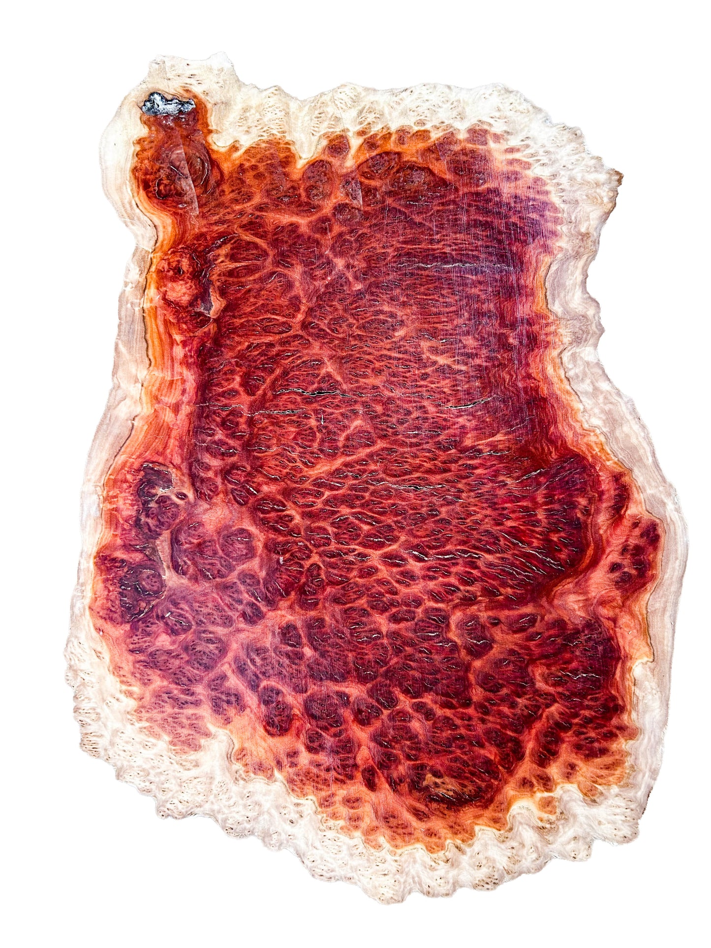 Eucalyptus, Australian Red Mallee Burl Platter  18"x 14"x 1.25" [WE390]