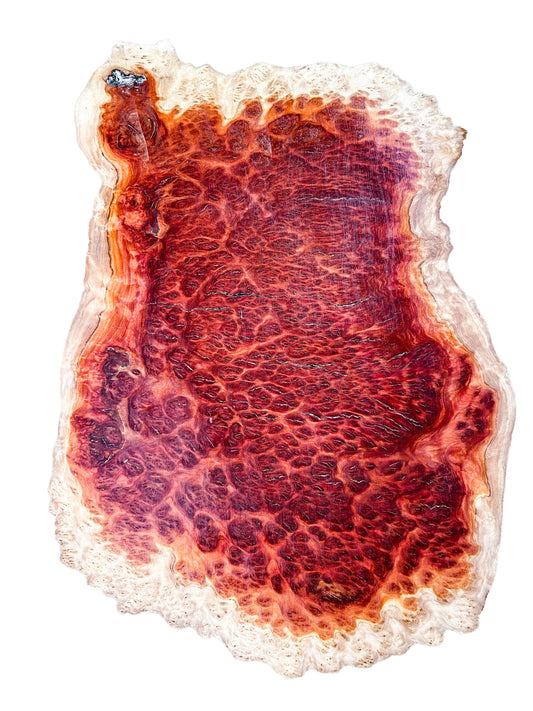 Eucalyptus, Australian Red Mallee Burl Platter  18"x 14"x 1.25" [WE390]