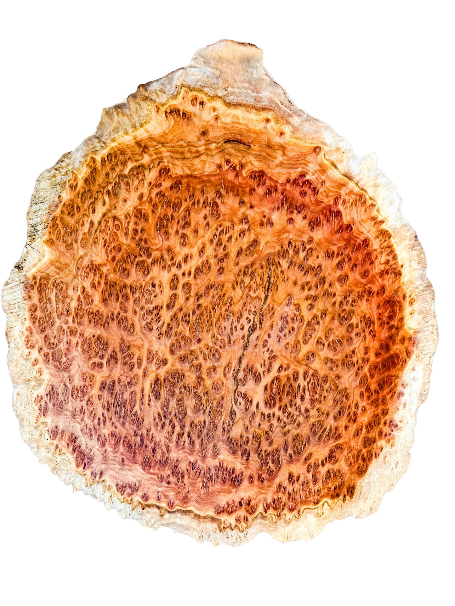Eucalyptus, Australian Bimble Box Burl Platter   17"x 16"x 1.25" [WE391]