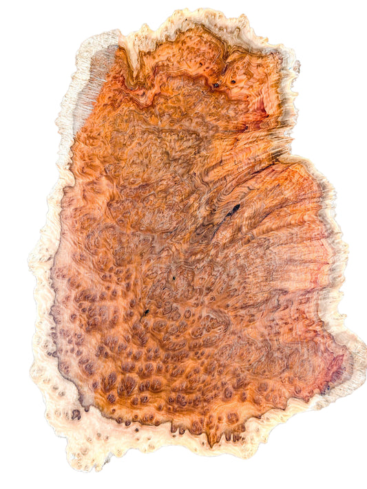 Eucalyptus, Australian Yellow Box Burl Platter   20"x 14"x 1.25" [WE392]