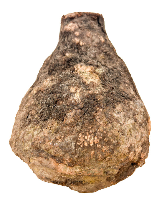 Briar, European Pipe-making Burl - 7" x 7" x 6.5" [WE429]