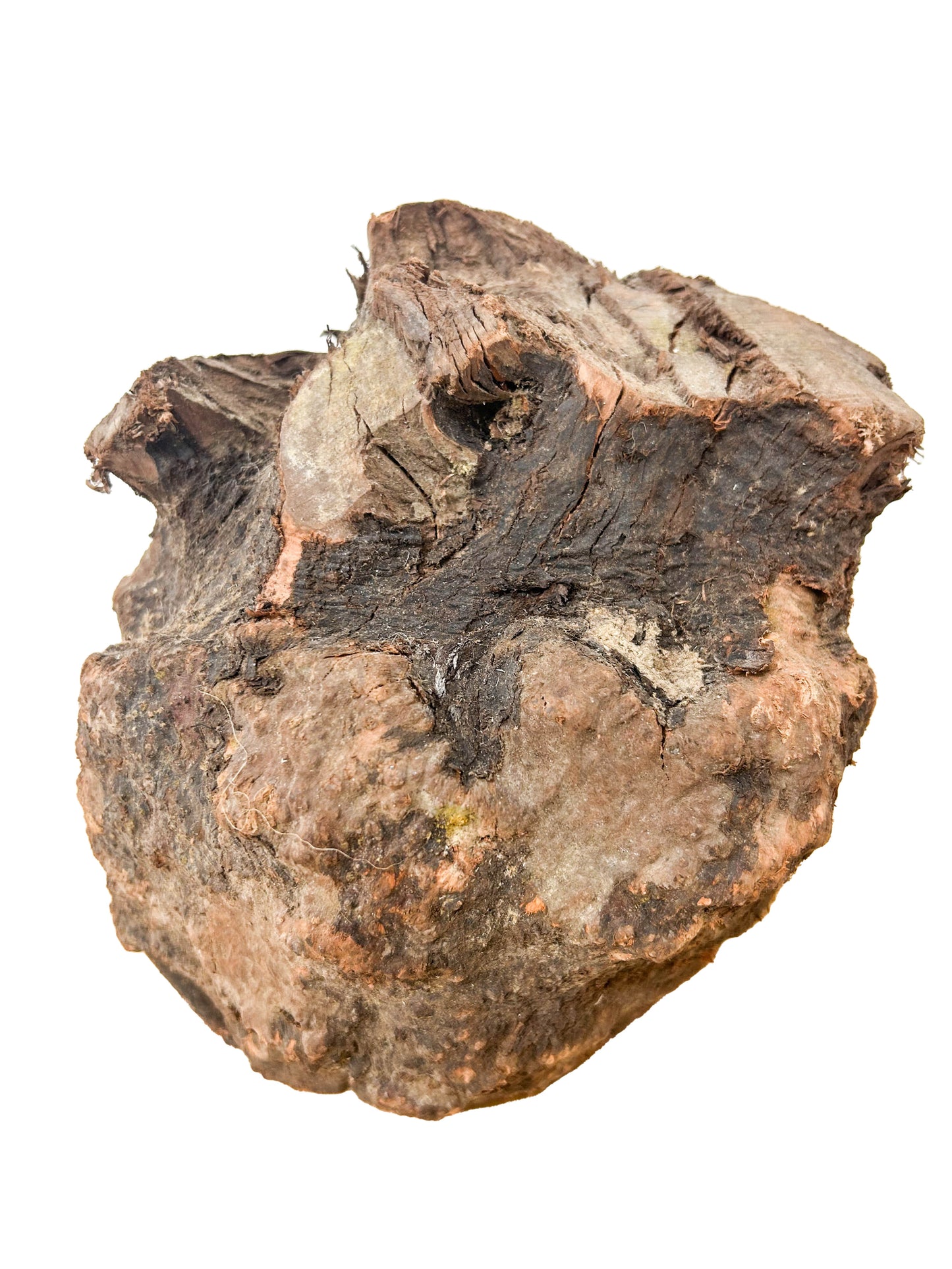 Briar, European Pipe-making Burl - 9.5" x 8.5" x 8" [WE430]