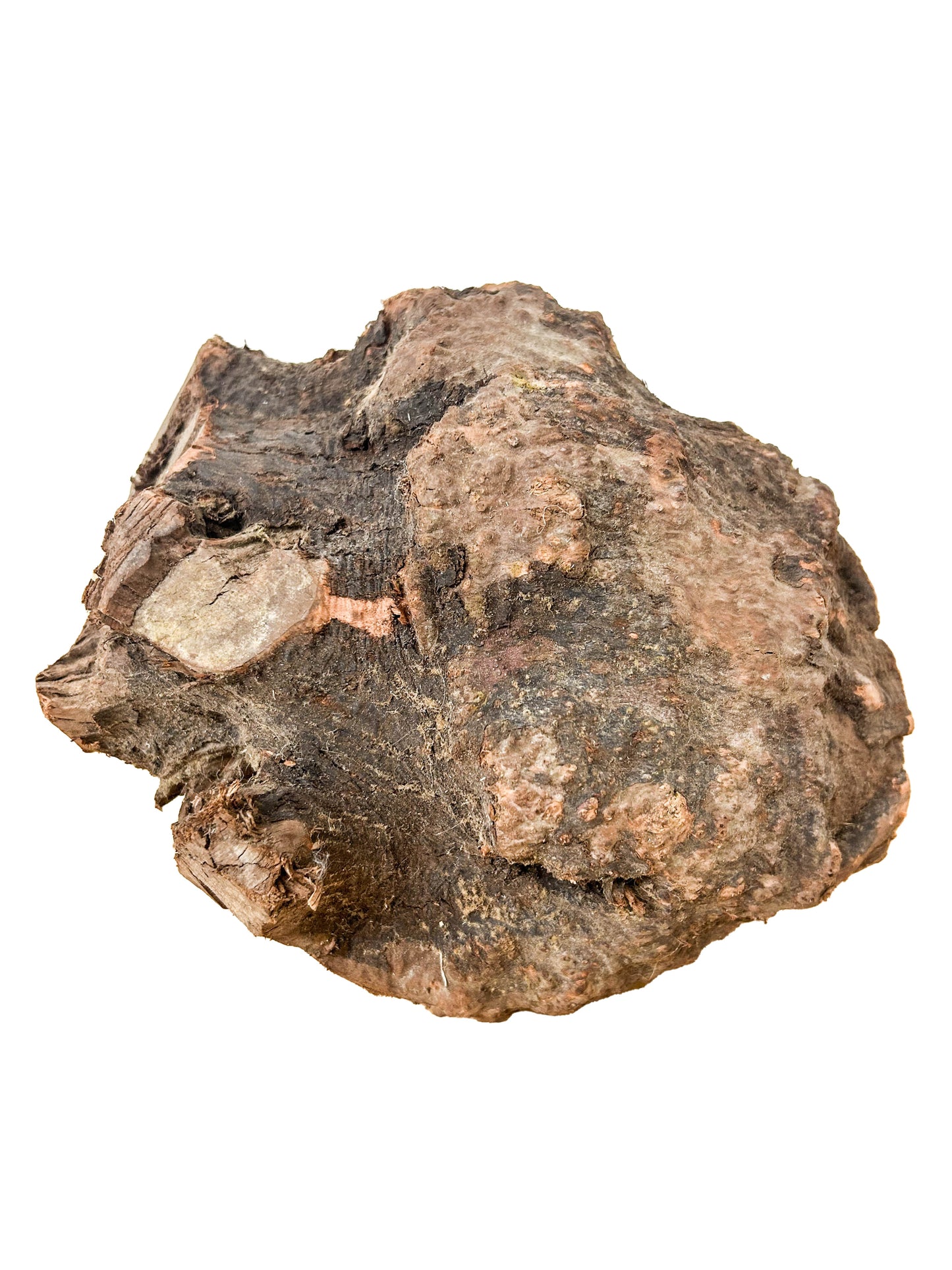 Briar, European Pipe-making Burl - 9.5" x 8.5" x 8" [WE430]