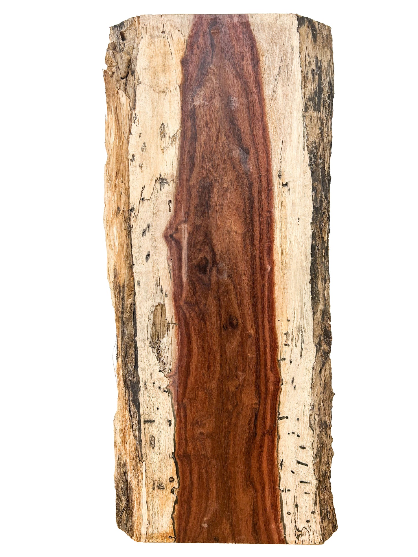 Hormigo 5/4 Live Edge Slab - 24"x 10" x 1-1/8" [WE431]
