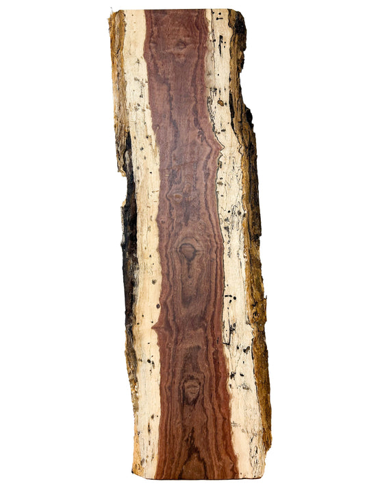 Hormigo 5/4 Live Edge Slab - 36"x 11" x 1-1/8" [WE432]