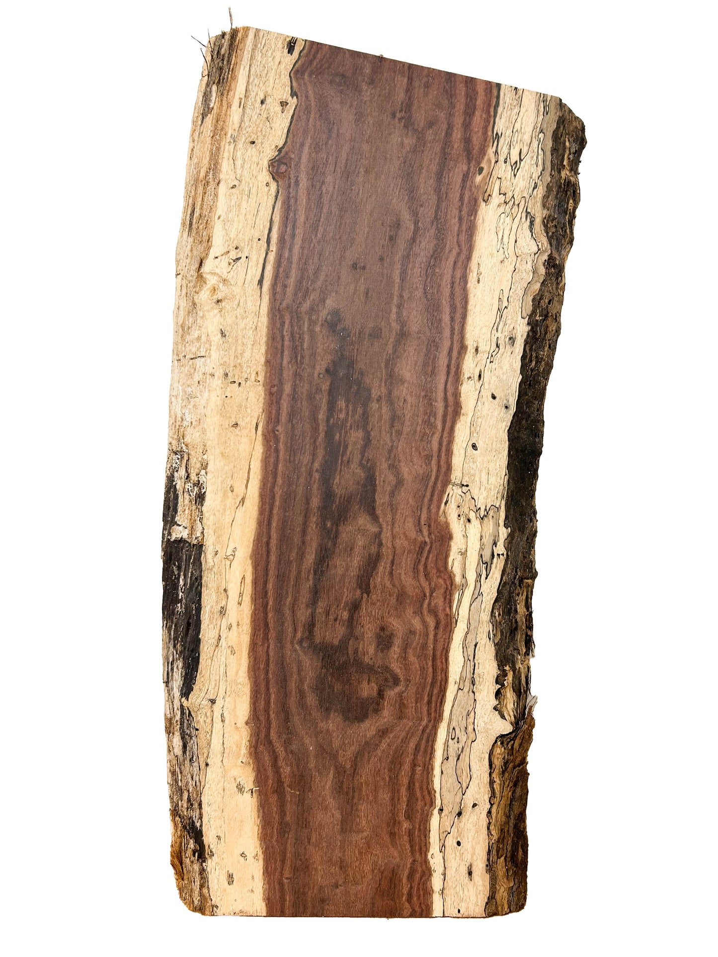 Hormigo 5/4 Live Edge Slab - 25"x 11" x 1-1/8" [WE433]