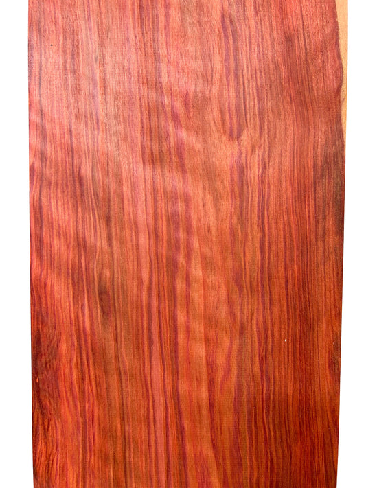 Redheart /Chakte Kok CURLY vibrant board - 47.5" x 6-7/8" x 7/8" WE520