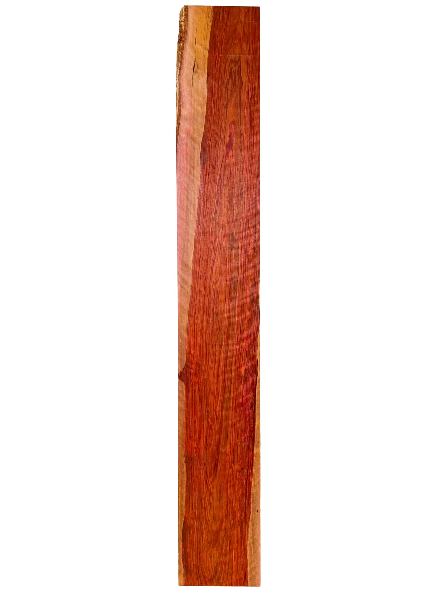 Redheart /Chakte Kok CURLY vibrant board - 47.5" x 6-7/8" x 7/8" WE520