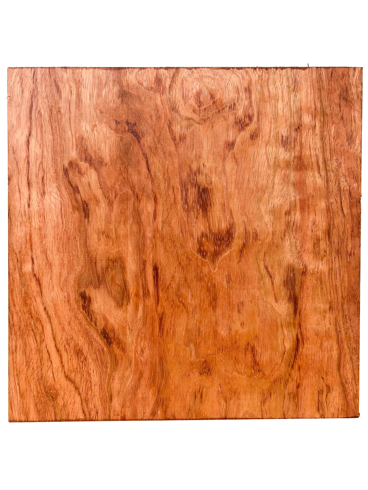 Bubinga Figured Platter/Bowl Blank - 11.75" x 11.75" x 2-7/8" - WE533