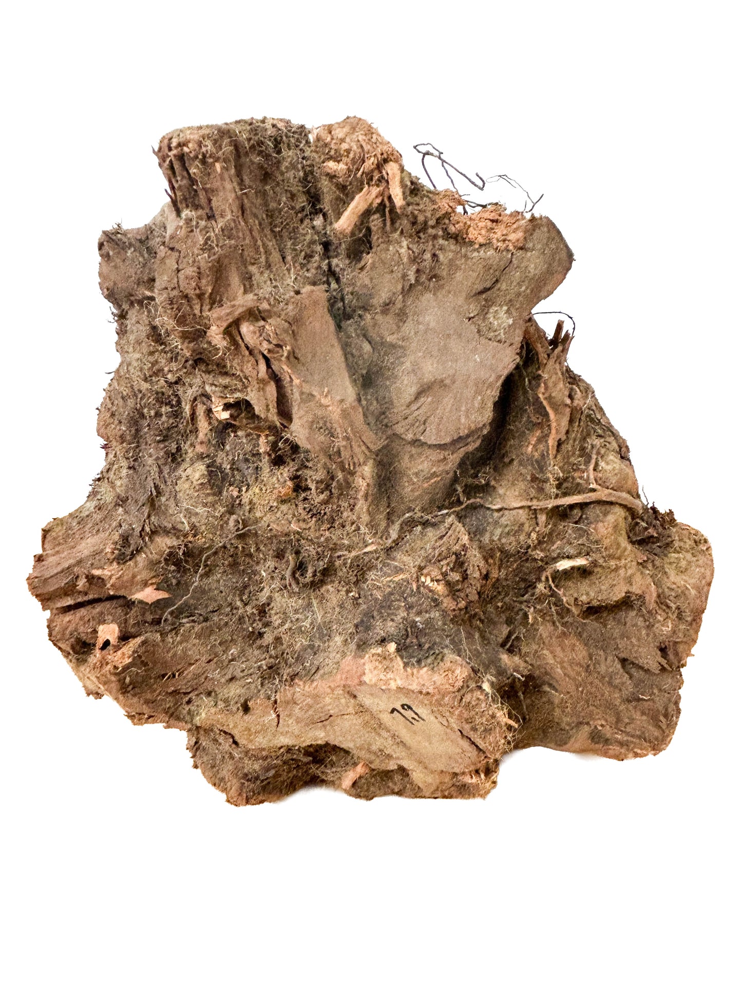Briar, European Pipe-making Burl - 10" x 8" x 8" WE539