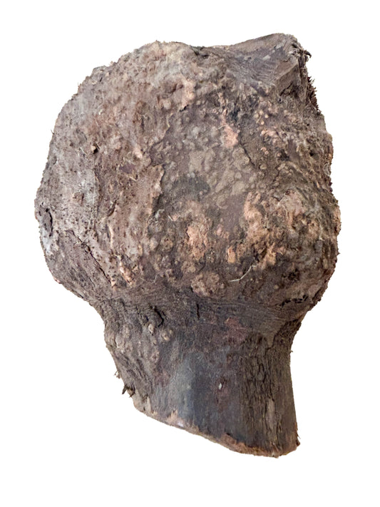 Briar, European Pipe-making Burl - 6.5" x 5" x 5" WE543