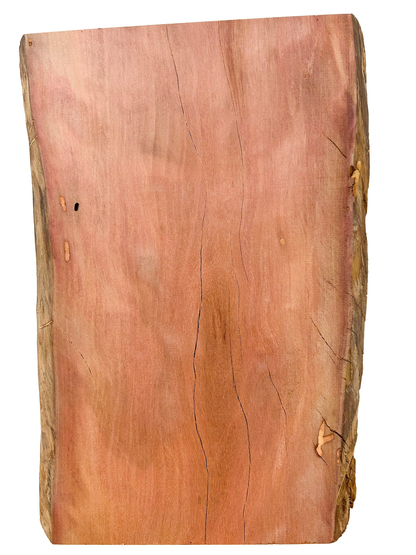 Redheart /Chakte Kok Curly Live Edge vibrant board - 12" x 8.5-9" x 1-1/8" - WE551