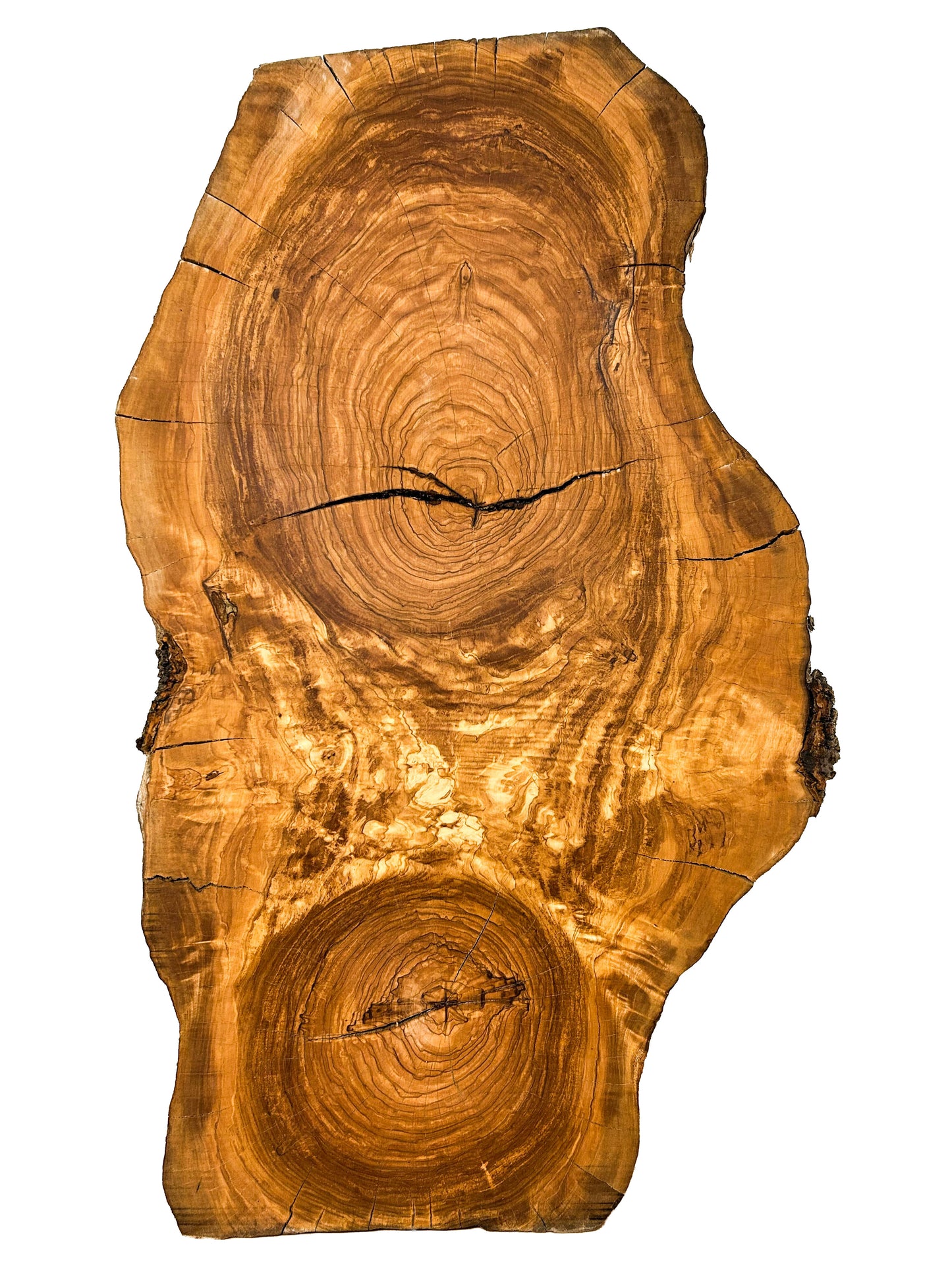 OLIVEWOOD: Italian COOKIE Figured - 27"x 11-19"x 2.25" - WE578