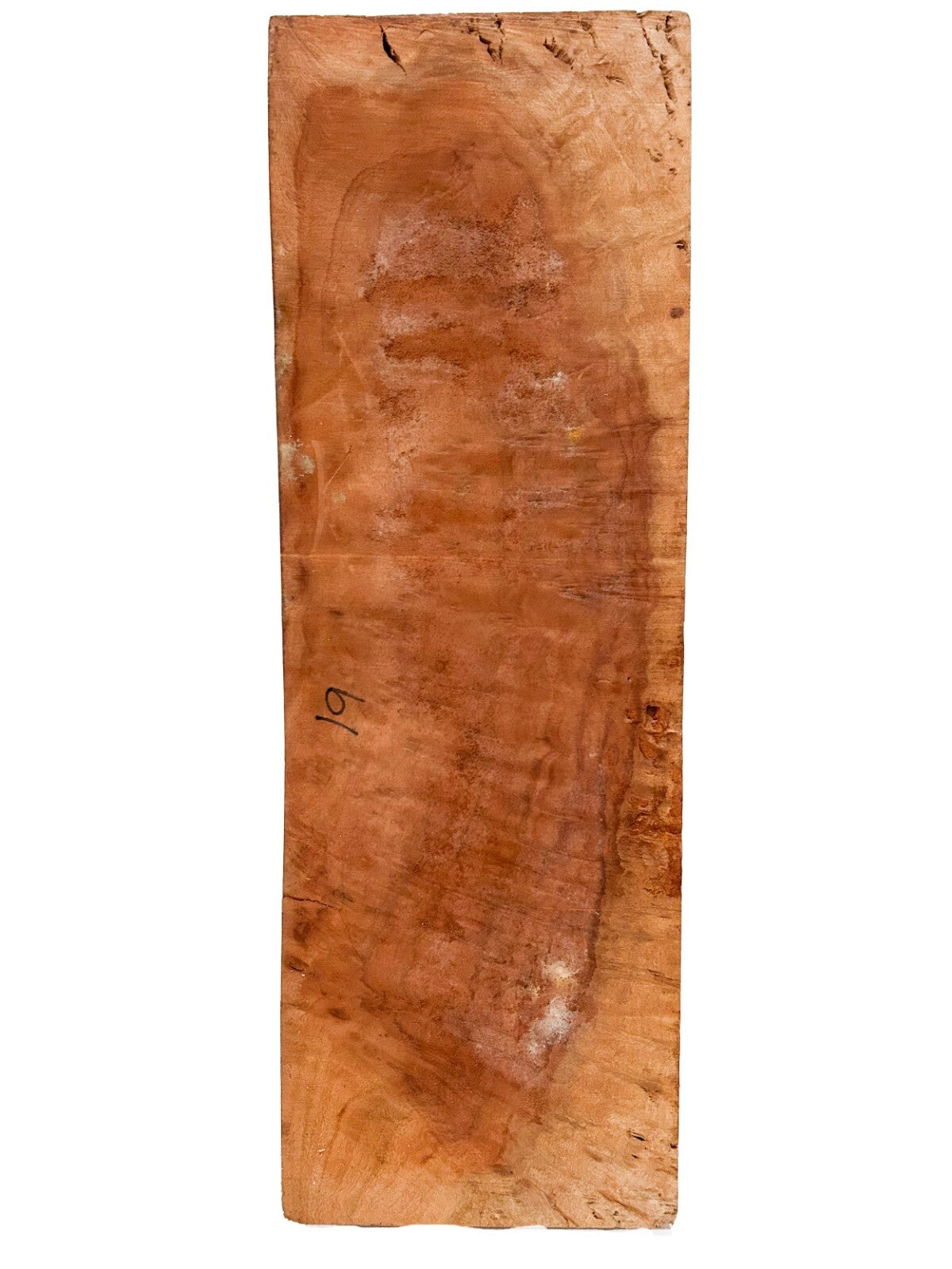Highly Figured Asian Camphor Burl guitar body blank - 23" x 8" x 2.5" [E-1081]
