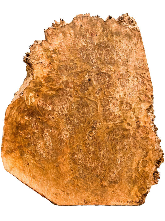 Australian Bimble Box Burl Slice/Charcuterie Board - 14" x 12" x 7/8" [E-687]