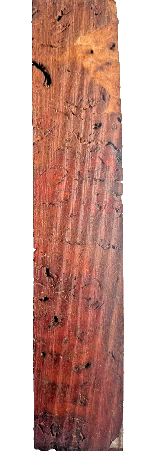 Australian Gummy Red Mallee Turning Blank - 11 1/2" x 2 1/4" x 2 1/4" [E-568]