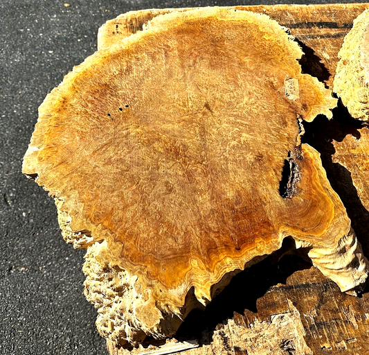 8/4 Australian Bimble Box Burl - 26" x 17" x 2" [E-204]