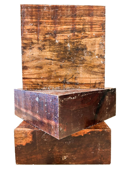 Chechen Bowl Blank Fully Waxed/Air Dried - 8" x 8" x 3" [E-676]