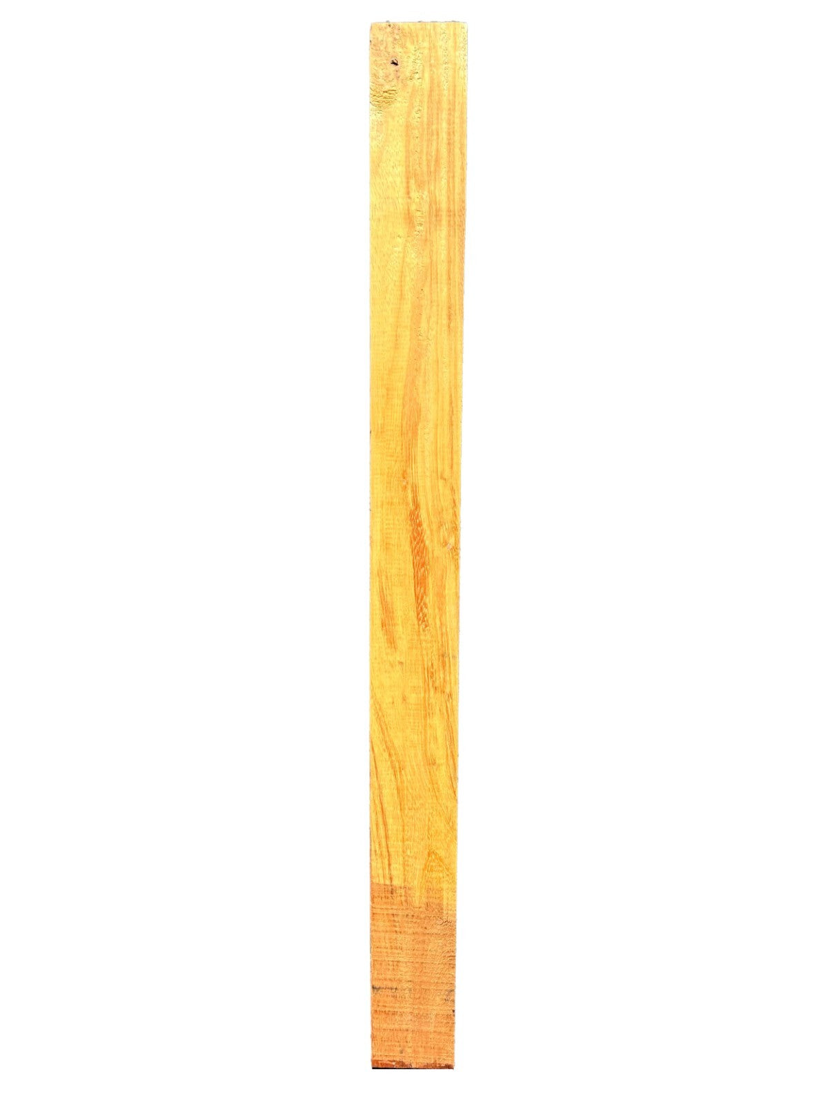 Vibrant Osage Orange Spindle/Pool cue/Turning blank - 24" x 2" x 2" [E-1064]