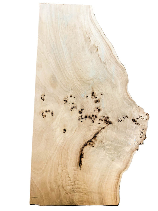 4/4 European Mappa Burl - 24" x 7-13" x 1/2" [E-815]